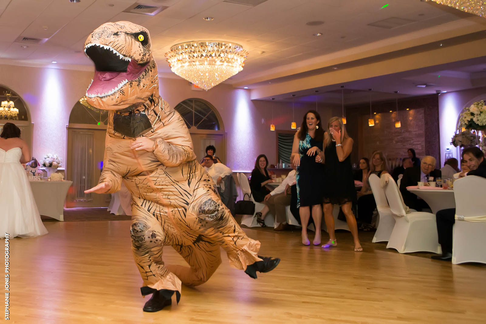 Dinosaur Wedding
